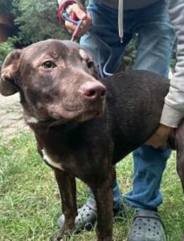 Philipp wartet auf sein Glück - Nordwalde