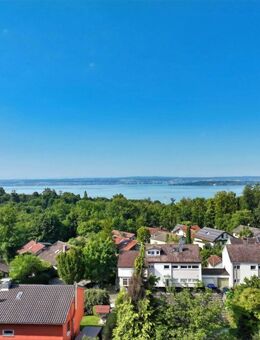 SPEKTAKULÄRE PANORAMASICHT AUF BODENSEE UND ALPENKETTE - Meersburg
