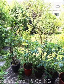 * Bestlage - Einfamilienhaus mit Einliegerwohnung* - Weinstadt