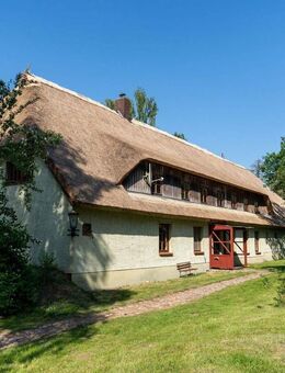 Reetdachhaus am See mit Potential inkl. Ferienwohnung, Stallungen, Weide und Wald - Witzin