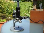 Sehr gut erhaltenes Mikroskop von Zeiss Jena. Objektive und Oklurare sind vollständig erhalten und funktionsfähig. - Selm