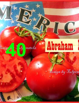 ♥ BIO Große Tomate,Abraham Lincoln Alte Sorte,Samen,Garten,Tulpenstolz,Präsident,Rarität,große Fleischtomate,Saatgut,Sortenvielfalt,samenfest,rot - Hamburg