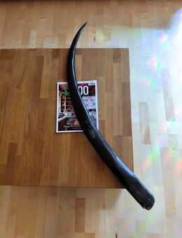 Longhorn Thai Buffello XXL Wasserbüffel Horn poliert 117cm - Meinerzhagen
