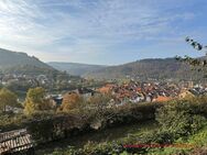 NEUES KAUFANGEBOT! EBERBACH: Bauplatz in TOP-Lage ... - Eberbach