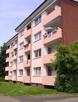 Frisch renoviert - sofort einziehen - Osnabrück