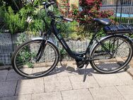City E- Bike - Lingenfeld