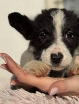 Mexx ist bereit, dein Herz zu erobern - München