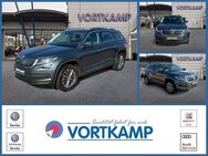 Skoda Kodiaq Style Kamera/ACC/Amundsen - Gronau (Westfalen) Zentrum