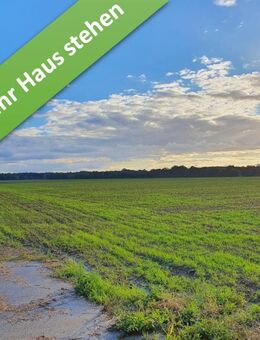 Das Haus für alle Lebensphasen im kommenden Baugebiet in Rötgesbüttel. - Rötgesbüttel