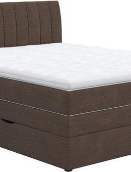 COTTA Boxspringbett Shark inkl. Bettkasten und Topper, erhältlich in den Breiten 140x200cm, 160x200cm und 180x200cm