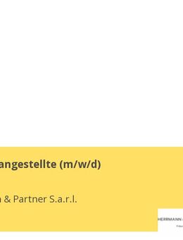 Steuerfachangestellte (m/w/d) - Trier