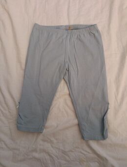 Mädchen Shorts bellybutton gr 116 wie neu - Celle