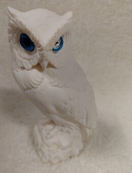 Alabaster Eule mit blauen Augen - Dresden