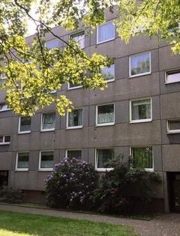 Hier findet jeder seinen Platz: 3-Zimmer-Wohnung - Kassel