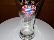 Fanpaket FC Bayern München - Erding