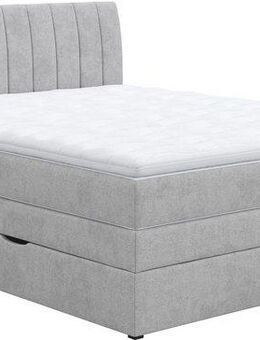 COTTA Boxspringbett Shark inkl. Bettkasten und Topper, erhältlich in den Breiten 140x200cm, 160x200cm und 180x200cm