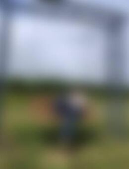 Wus*** - Naumburg (Saale)