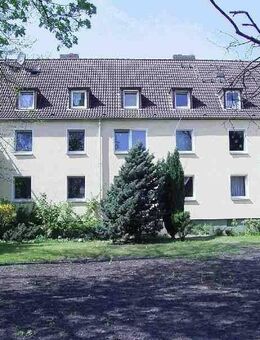 Vier Wände zum Wohlfühlen. - Hamm