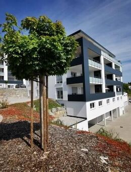 Luxuriös und neuwertig 4 Zi, Küche, Bad, Gäste WC, Balkon, Stellplatz,TG... - Bad Mergentheim
