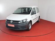 VW Caddy Kasten 2.0TDI 178,-ohne Anzahlung Berganfa - Horn-Bad Meinberg