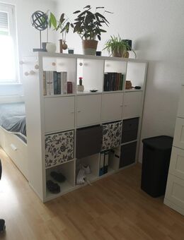Kallax mit 4 Türeinsätzen - Stuttgart