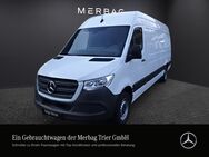 Mercedes Sprinter, 317 Kasten Lang Hoch MBUX, Jahr 2023 - Merzig