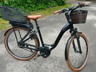 E-Bike Riese & Müller Swing 3 vario - Top Zustand - Hamburg