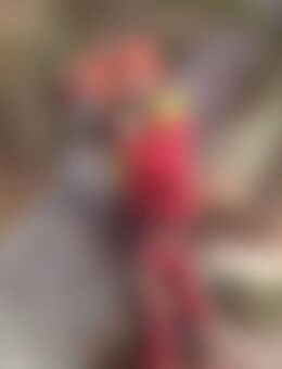 Wol*** - Weidenbach (Bayern)