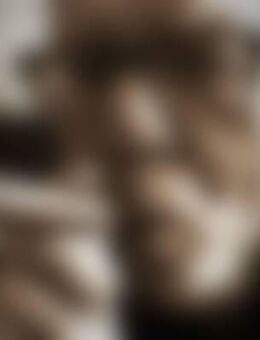 Hag*** - Seedorf (Landkreis Segeberg)