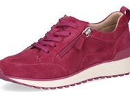 Caprice Keilsneaker, Freizeitschuh, Halbschuh, Schnürschuh in Komfortweite G (weit)