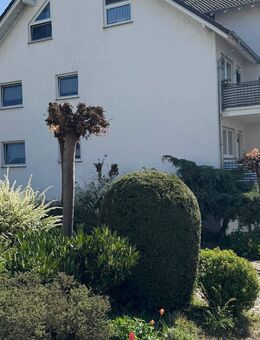 Gemütliche Atelier Wohnung in Rheinnähe - Neuwied