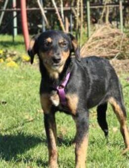 Revina sucht ihre Menschen... - Hagen (Stadt der FernUniversität)