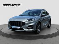 Ford Kuga, 1.5 ST-Line EB SHA SWA, Jahr 2023 - Bad Segeberg