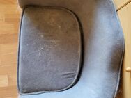 Katzensofa - Dortmund Hombruch