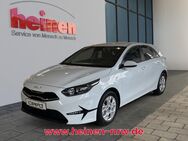 Kia cee'd, 1.0 ceed VISION, Jahr 2024 - Menden (Sauerland)