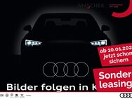 Audi Q2, S line 40 TFSI quat Black VC Sit, Jahr 2024 - Wackersdorf