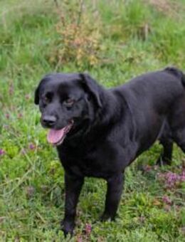 MADDOX - ich lerne gern was Neues dazu - Overath