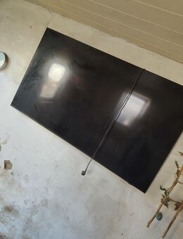 Fernseher Flachbildschirm 65 Zoll - Halberstadt Zentrum