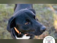 Larry: Sportskanone sucht Gleichgesinnte - Kirchzell