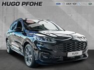 Ford Kuga, 2.0 ST-Line X EcoBlue 88kW Auto Sports Util, Jahr 2024 - Norderstedt