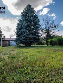 Haus mit großem Baugrundstück - Viel Potenzial für Ideen und Neubau! - Schlieben