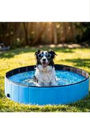 faltbarer Hundepool Schwimmbecken für Hunde blau Sommer Wasser in 80336