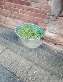 Deko Artikel für draußen - Gilserberg