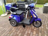 E-Trike Rolektro 25, V.3 zu Verkaufen - Wandlitz