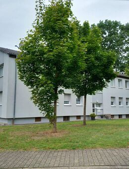 sanierte Seniorenwohnung im 1. OG - modernisiertes Anwesen in Dorf im Warndt - 3 ZKB auf 68 m² - Provisionsfrei !!! - Großrosseln