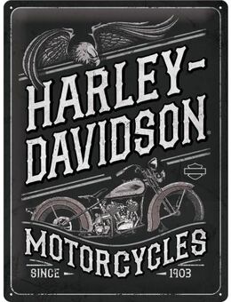 Tolles Harley-Davidson Blechschild Motorcycles Eagle Biker Motorrad 30x40 cm - Hamburg