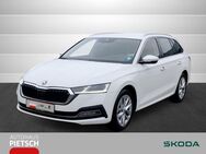 Skoda Octavia, 2.0 TDI Combi First Edition, Jahr 2020 - Melle