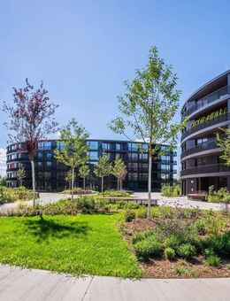 Stilvolle Wohnung im Neubau mit hochwertiger Einbauküche in direkter Elbnähe sucht neuen Mieter! - Dresden