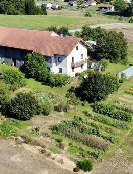 BIO - Bauernhof im Bayerischen Wald mit 51.140 m2 - Hohenau