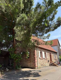 Charme & Gemütlichkeit! Historisches 1-3-Familienhaus in liebevolle Hände abzugeben - Mannheim